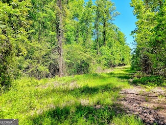 135 (Lot 5) Whispering Dale, Clarkesville, GA 30523