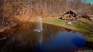 201 Basket Brook Rd, Long Eddy, NY 12760