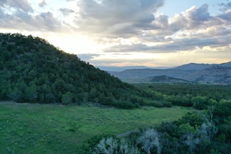 10507 52 1 2 Rd, Molina, CO 81646