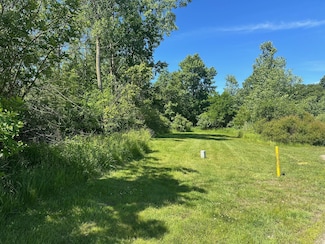 45 Diamond Point Ln, New Buffalo, MI 49117