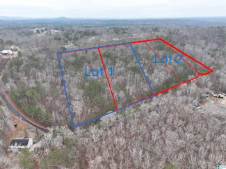 Lot 1 Henderson Rd Unit 1, Odenville, AL 35120