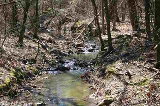 Glory Mountain Estates Lot # 5, Glenwood, AR 71943