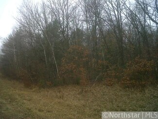 xxxxx 392nd St, Browerville, MN 56438