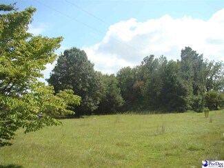 7442 N Highway 501, Latta, SC 29565