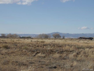 1331 W Badger Rd, Crestone, CO 81131