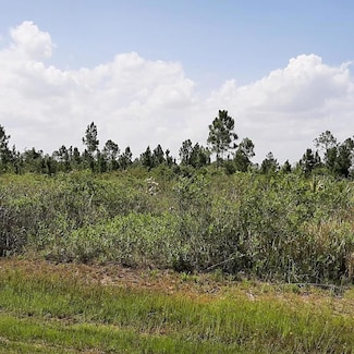 412 Calendula Dr, Indian Lake Estates, FL 33843