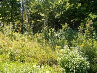 0 Christy St, Silver Creek, NY 14136