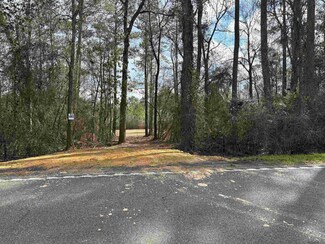 Tract 1-C Louisiana 1058, Roseland, LA 70456