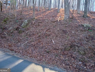 LT M214 Walnut Ridge Unit M214, Ellijay, GA 30536