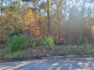 42 Park Place Cir, Augusta, GA 30909