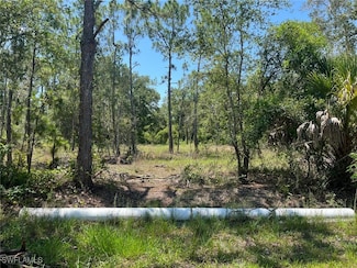 13086 Mandalay Dr, Punta Gorda, FL 33955