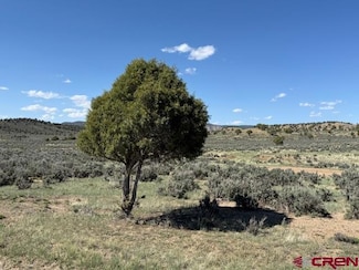 X Rockcliff Cir, Pagosa Springs, CO 81147