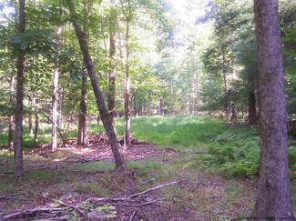 Lot 42.120 Samsonville Rd, Kerhonkson, NY 12446