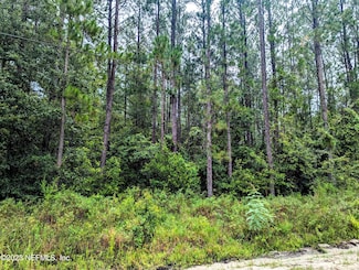 4436 Lori Loop Rd, Keystone Heights, FL 32656