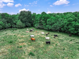 66.682 Acres County Road 2190, Commerce, TX 75428