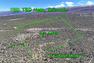 TBD Lot 4 Tbd Unit 4, Mesa, CO 81643