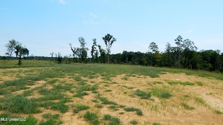 6404 Pea Ridge Rd, Grenada, MS 38901