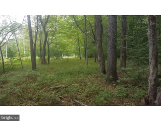 45039 Lr, Pocono Lake, PA 18347