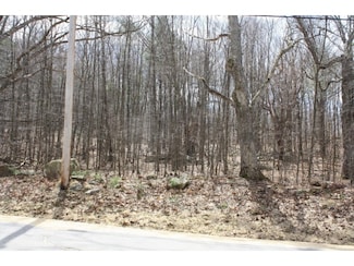 Lot 1 Ricky Nelson, Strafford, NH 03884