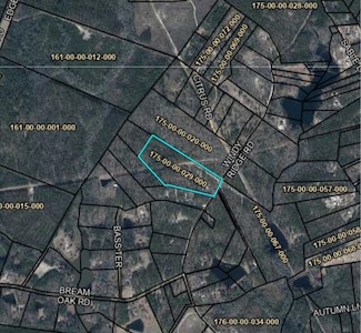 380 Windy Ridge Rd, Trenton, SC 29847