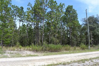 TBD SE 136th Ave, Dunnellon, FL 34431