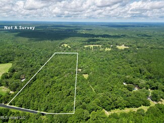 Tract 2 Gumpond Beall Rd, Lumberton, MS 39455