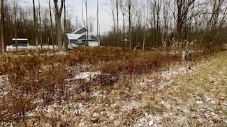 27 Elizabeth St, Oswego, NY 13126