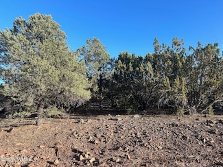 lot 33 Ridgeview, Vernon, AZ 85940