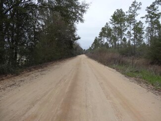12.003 ac Indian Creek Ranch Rd, Defuniak Springs, FL 32433