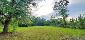 78.7 acres SW Vacant Mt Gilead Rd, Greenville, FL 32331
