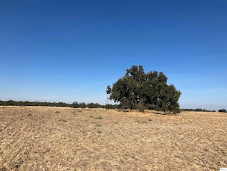 0 Paskenta Rd Unit 20240791, Flournoy, CA