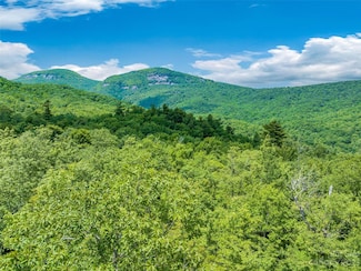 2 Cardinal Dr W Unit TRP 2, Lake Toxaway, NC 28747