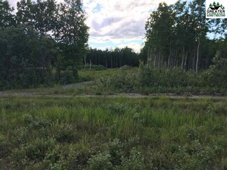 NHN Kristin Dr, Delta, AK 99737