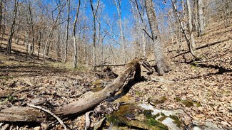 0 Skylark Rd, Center Township, MO 65730