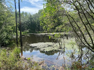20 Acres Canyon Trail, Baker, FL 32531