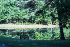 1367 Maryland Ct, Sanford, NC 27332