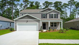 101 Cardinal Flower Ct, Moncks Corner, SC 29461