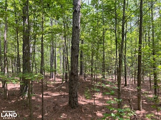 1423 County Highway 25, Hamilton, AL 35570