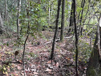 XXXX Sweetwater Ln, Tallahassee, FL 32311