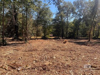 0 Waterworld Rd Unit 370760, Robertsdale, AL 36567
