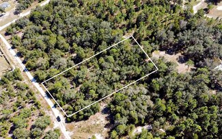 TBD NE 50 Ln, Williston, FL 32696