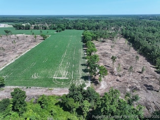 TBD N Carolina 71, Red Springs, NC 28377