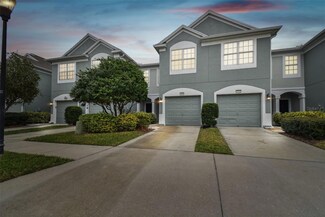 2110 Wolfskill Place, Riverview, FL 33578