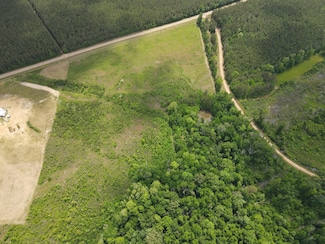 1331 Coal Bluff Rd, Lena, MS 39094