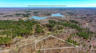 297 Zara Spook Dr, Cedar Grove, TN 38321