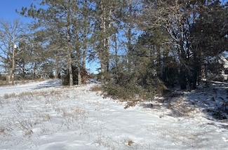 X Bowery Rd, Trego, WI 54888
