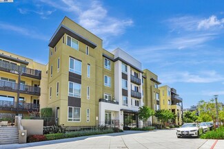 2339 Kinetic Common Unit 310, Fremont, CA 94539