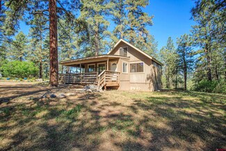 409 Nutria Cir, Pagosa Springs, CO 81147