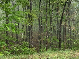225 Prospectors Way, Jasper, TN 37347