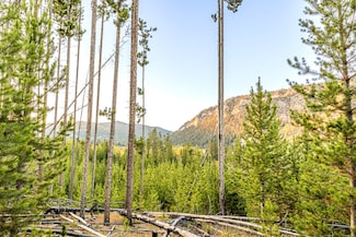 Lot 1 TBD Harris Rd, Anaconda, MT 59711